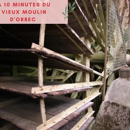 Apartament Jungle - Jardin, Netflix Et Parking - Le Manoir Aux Pommes Orbec