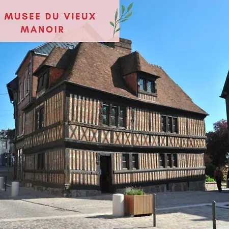 Jungle - Jardin, Netflix Et Parking - Le Manoir Aux Pommes