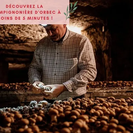 Apartament Jungle - Jardin, Netflix Et Parking - Le Manoir Aux Pommes