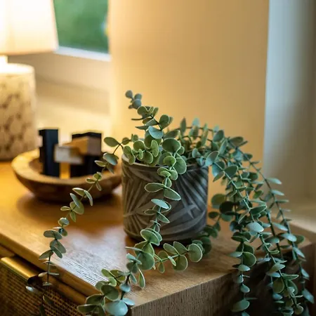 Apartment Jungle - Jardin, Netflix Et Parking - Le Manoir Aux Pommes *