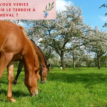 Jungle - Jardin, Netflix Et Parking - Le Manoir Aux Pommes