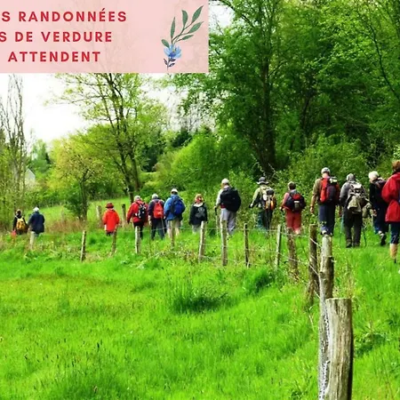 Jungle - Jardin, Netflix Et Parking - Le Manoir Aux Pommes