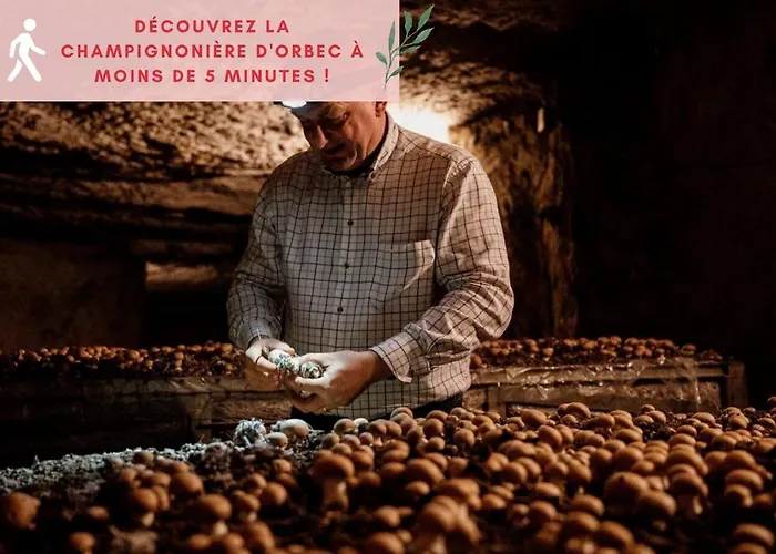 Апартаменты Jungle - Jardin, Netflix Et Parking - Le Manoir Aux Pommes