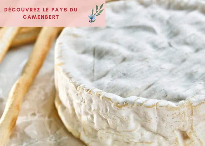 Jungle - Jardin, Netflix Et Parking - Le Manoir Aux Pommes Апартаменты